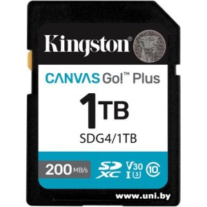 Kingston SDXC 1Tb [SDG4/1TB]