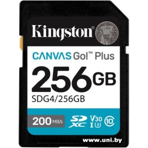 Kingston SDXC 256Gb [SDG4/256GB]