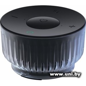 Sber SberBoom Mini 2 SBDV-00250A Black