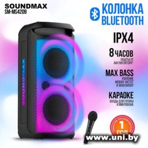 Купить Soundmax SM-MS4209 в Минске, доставка по Беларуси
