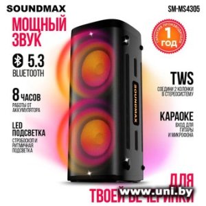 Купить Soundmax SM-MS4205 в Минске, доставка по Беларуси