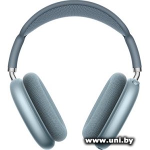 Купить Hoco W65 Blue в Минске, доставка по Беларуси