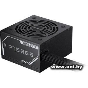 Купить GIGABYTE 750W P750BS (GP-P750BS) в Минске, доставка по Беларуси