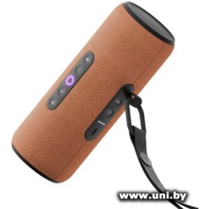 Купить Яндекс Станция Стрит YNDX-00030ORG Orange в Минске, доставка по Беларуси