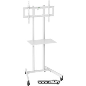 Купить CACTUS CS-ST04WT в Минске, доставка по Беларуси