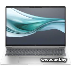 HP EliteBook 660 G11 (902D8AV)
