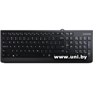 Купить Lenovo 300 (GX30M39684) в Минске, доставка по Беларуси