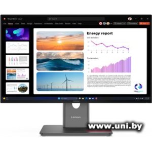 Купить Lenovo 23.8` ThinkVision P24Q-40 64B2GAT1UK в Минске, доставка по Беларуси