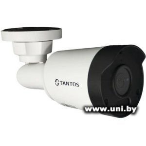 Купить Tantos TSi-Pe50FP (00-00124865) в Минске, доставка по Беларуси