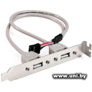 ExeGate BrctUSB2-2A (EX298294RUS)