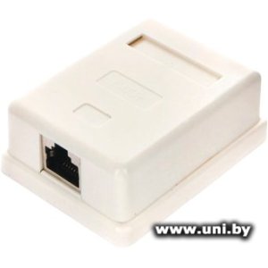 Купить Cablexpert Розетка витой пары NAS212 1XRJ45 в Минске, доставка по Беларуси