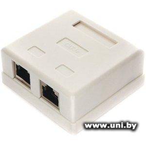 Купить Cablexpert Розетка витой пары NAS214 2xRJ45 в Минске, доставка по Беларуси