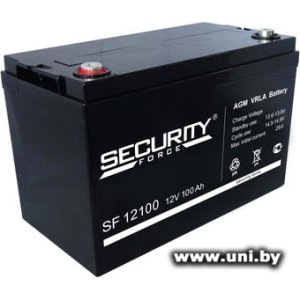 Security Force SF 12100 12V 100Ah