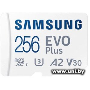 Samsung micro SDXC 256Gb [MB-MC256SA]