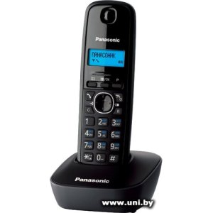 Panasonic KX-TG1611UAH