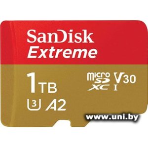 SanDisk micro SDXC 1Tb [SDSQXAV-1T00-GN6MA]
