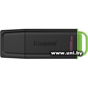 Kingston USB3.x 256Gb [DTXG2/256GB]