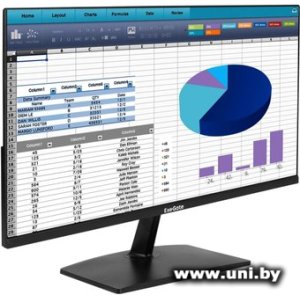 ExeGate 23.8` SmartView EZ2400A EX300420RUS
