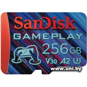SanDisk micro SDXC 256Gb [SDSQXAV-256G-GN6XN]
