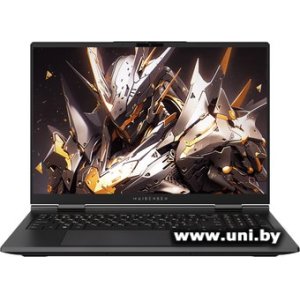 Maibenben X-Treme Tsunami X16F (X16F-R98957T0GGRLG4E10)