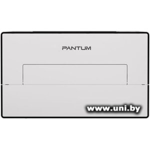 Pantum BP4211DN