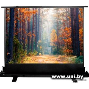 Экран проекционный CACTUS FloorExpert 120x160 CS-PSFLE-160X120