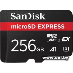 Купить SanDisk micro SDXC 256Gb [SDSQXFN-256G-GN4NN] в Минске, доставка по Беларуси