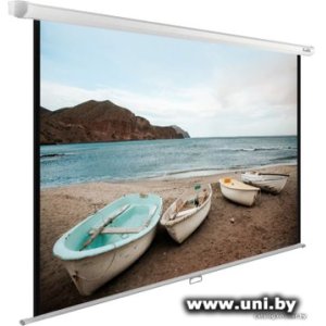 Купить Экран проекционный CACTUS WallExpert 220x138 CS-PSWE-220x138-WT в Минске, доставка по Беларуси