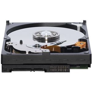 Купить WD 250GB 3.5` SATA3 WD2500AAKX в Минске, доставка по Беларуси