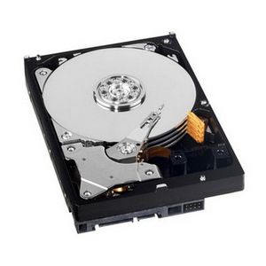 Купить WD 500GB 3.5` SATA3 WD5003AZEX в Минске, доставка по Беларуси