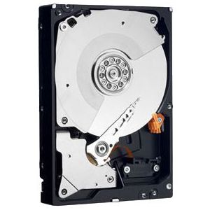 Купить WD 250GB 3.5` SATA3 WD2503ABYX в Минске, доставка по Беларуси