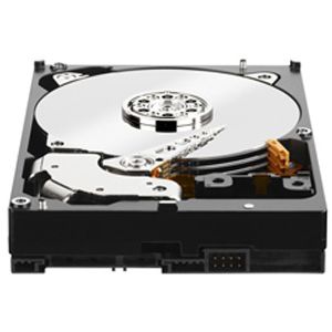 Купить WD 1TB 3.5` SATA3 WD1003FZEX в Минске, доставка по Беларуси