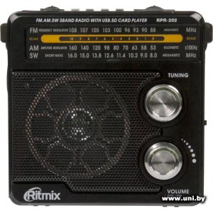 Купить RITMIX Портатив.Радио [RPR-202 BLACK] в Минске, доставка по Беларуси