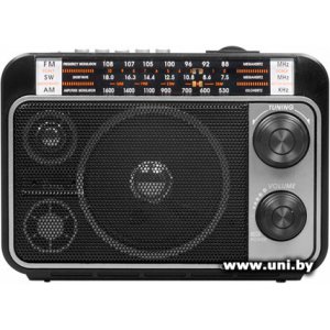 Купить RITMIX Портатив.Радио [RPR-171] в Минске, доставка по Беларуси