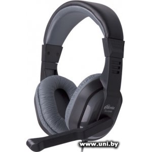Купить RITMIX RH-534M Black/Grey в Минске, доставка по Беларуси