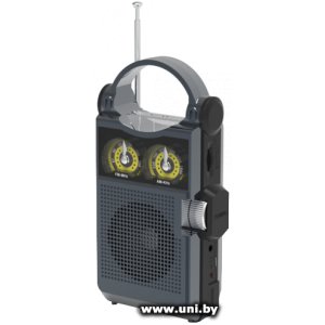 Купить RITMIX Портатив.Радио [RPR-333 CARBON] в Минске, доставка по Беларуси
