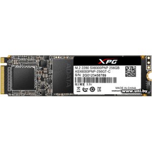 Купить A-Data 256Gb M.2 PCI-E SSD ASX6000PNP-256GT-C в Минске, доставка по Беларуси